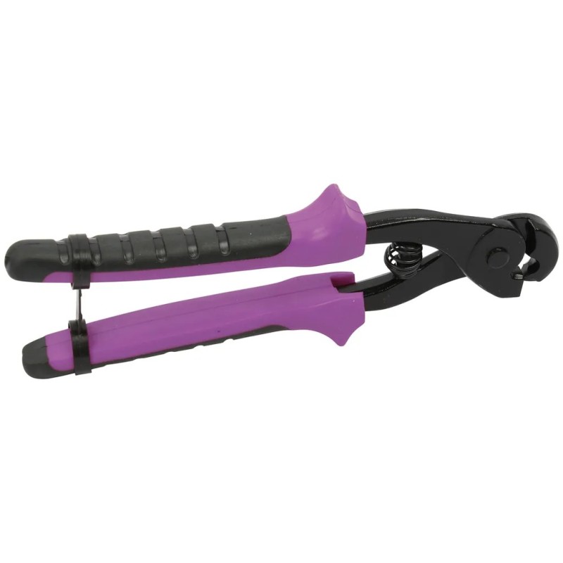 Sidamo Pince perroquet