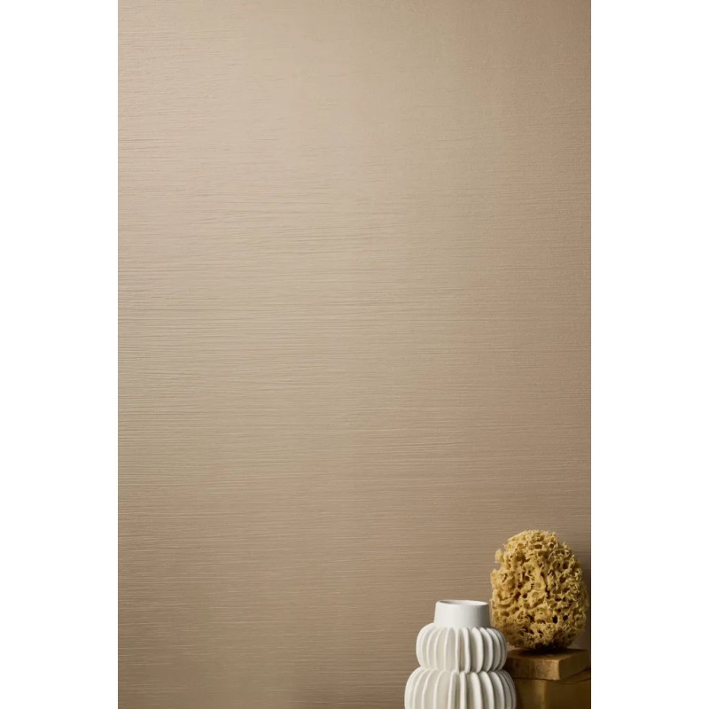 Iridea Caramel 50x120  Carrelage Intérieur Béton Rectifié