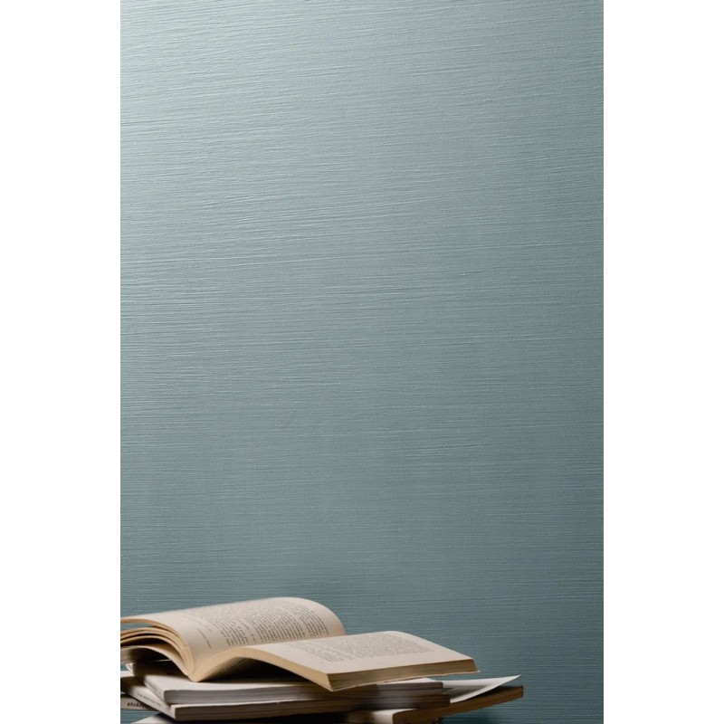Iridea Mare 50x120  Carrelage Intérieur Béton Rectifié