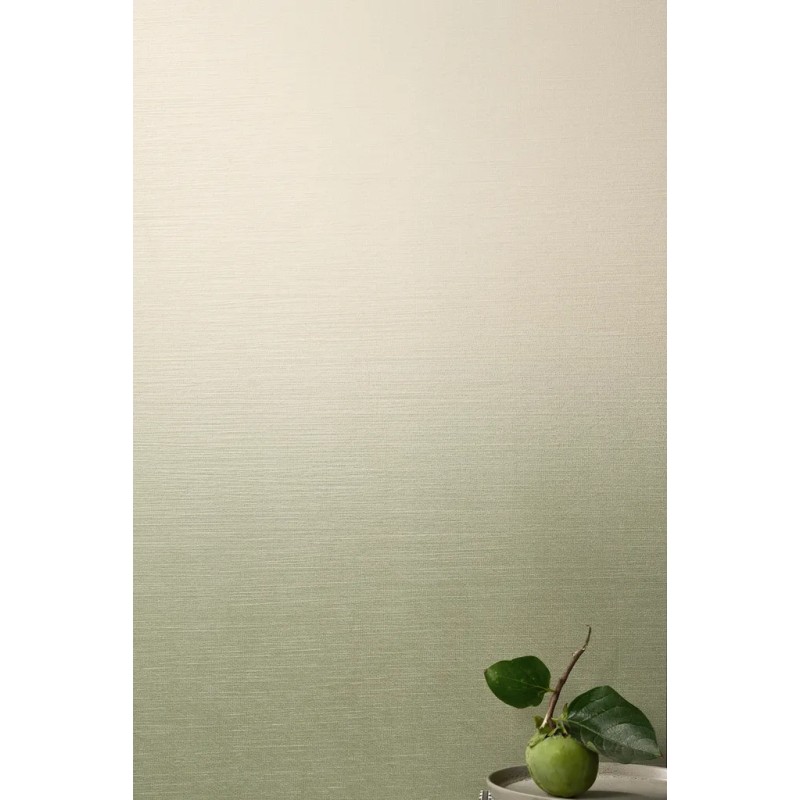 Iridea Degrade Alga 50x120  Carrelage Intérieur Béton Rectifié