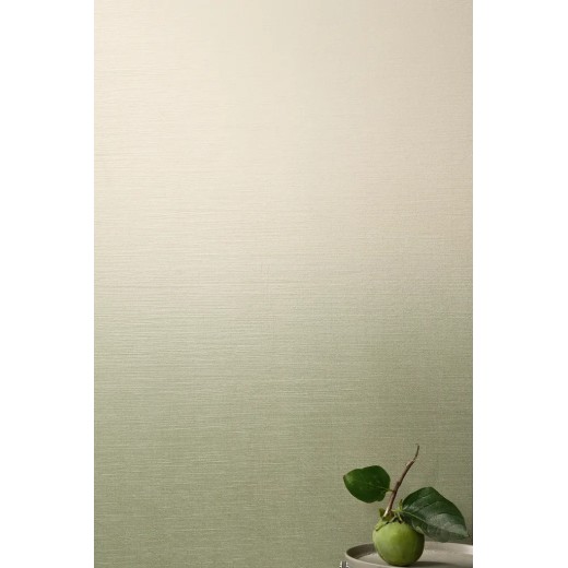 Iridea Degrade Alga 50x120  Carrelage Intérieur Béton Rectifié