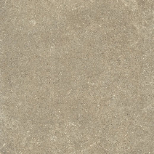 Arkistyle Earth 120x120  Carrelage Intérieur Pierre Rectifié
