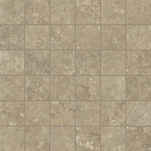 Mosaïque Arkistyle Earth  30x30 Carrelage Intérieur Pierre Non Rectifié 
