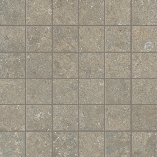 Mosaïque Arkistyle Fossil  30x30 Carrelage Intérieur Pierre Non Rectifié 