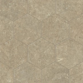 Arkistyle Earth Esa 25x21,6 Carrelage Intérieur Pierre Non Rectifié 