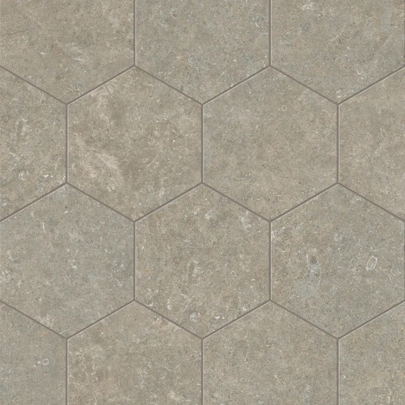 Arkistyle Fossil Esa 25x21,6 Carrelage Intérieur Pierre Non Rectifié 