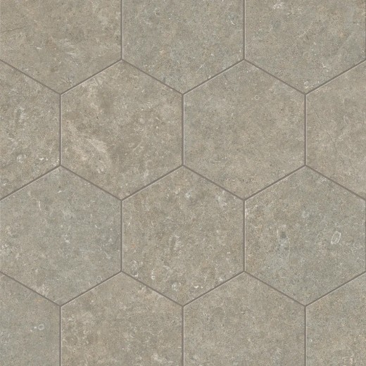 Arkistyle Fossil Esa 25x21,6 Carrelage Intérieur Pierre Non Rectifié 