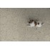Arkistyle Shade Cold Esa 25x21,6 Carrelage Intérieur Pierre Non Rectifié 