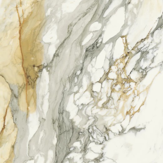 Scultorea Calacatta Vena Antica Velvet 120x120  Carrelage Intérieur Marbre Rectifié