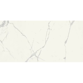 Scultorea Statuario Vena Argento Reflex 60x120  Carrelage Intérieur Marbre Rectifié